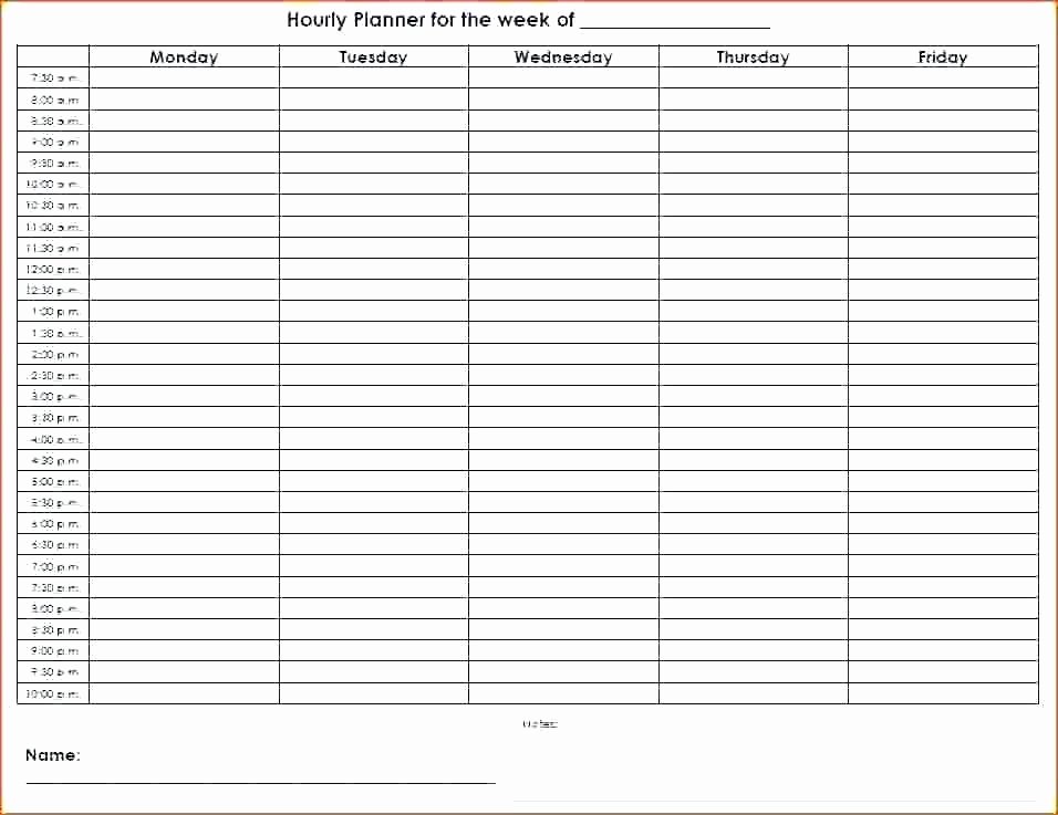 24 Hour Planner Template Fresh 24 Hour Day Planner Template