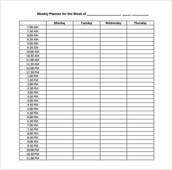 24 Hour Planner Template Inspirational Hourly Schedule Template 10 Free Sample Example format