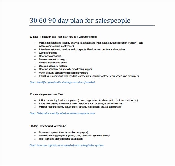 30 Day Plan Template Lovely 13 Sample 30 60 90 Day Plan Templates Word Pdf