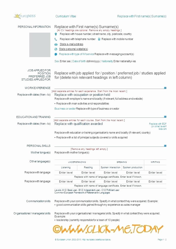 Academic Cv Template Word Fresh Resume Example Word Doc Academic Cv Template Document