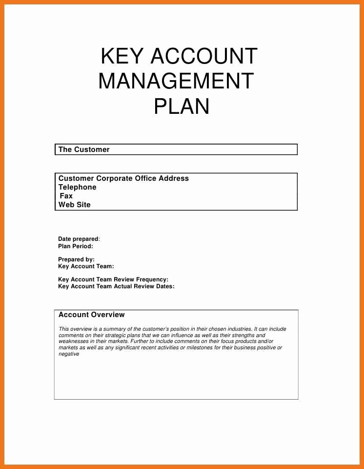 Account Management Plan Template Awesome 5 6 Account Planning Template