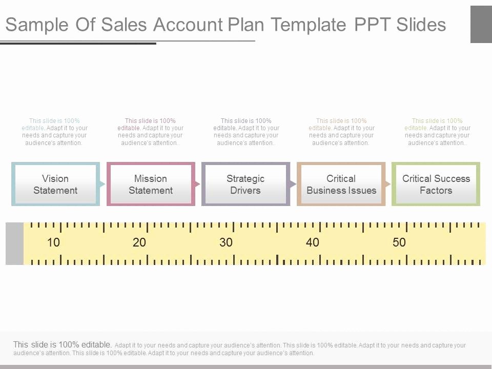 Account Plan Template Ppt Inspirational Strategic Account Plan Powerpoint Slide Deck