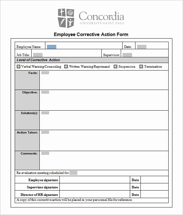 Action Plan Template Pdf New Corrective Action Plan Template
