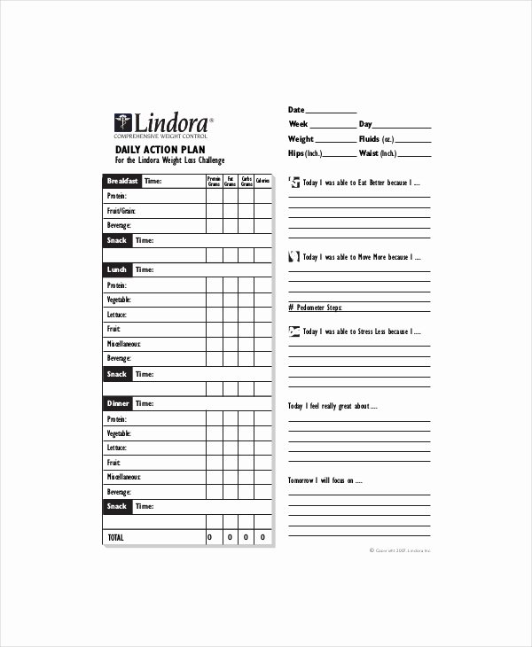 Action Plan Template Pdf Unique Daily Action Planner Template 5 Free Pdf Documents