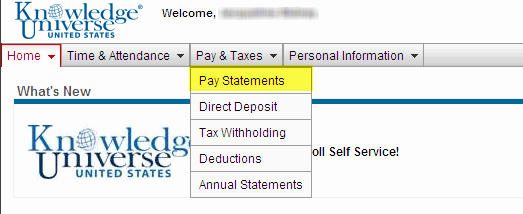 Adp Earnings Statement Template Unique Adp Pay Stub Templateml