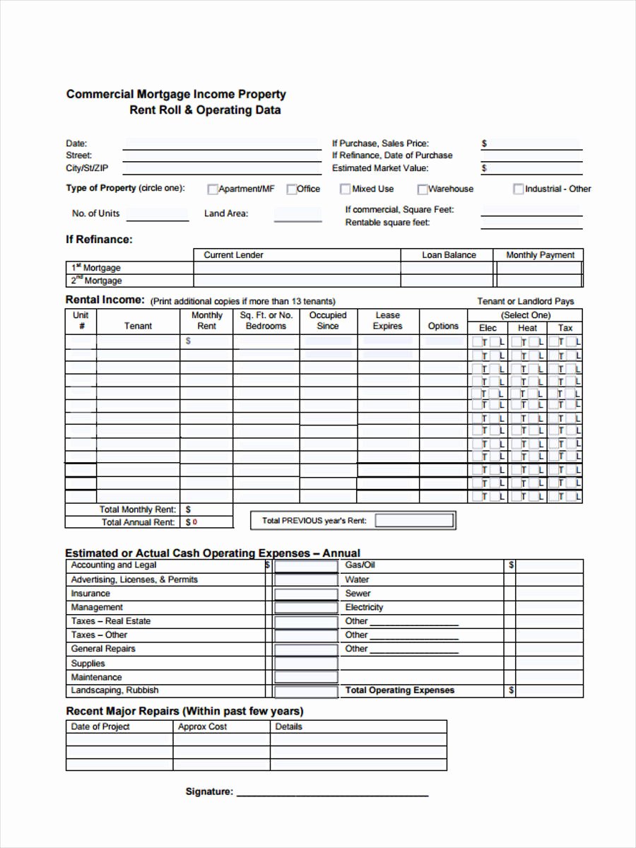 Apartment Rent Roll Template Fresh 16 Sample Rent Roll form