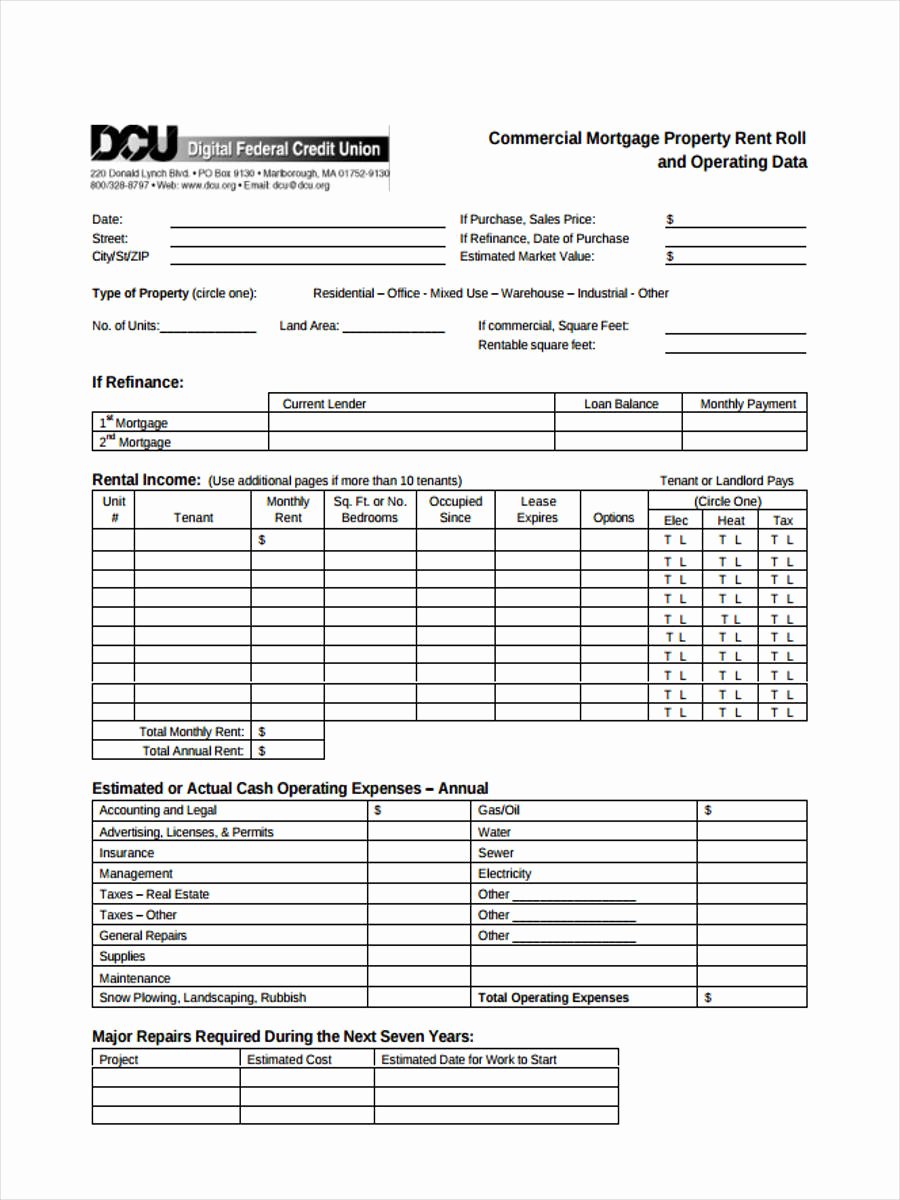 Apartment Rent Roll Template Unique 16 Sample Rent Roll form