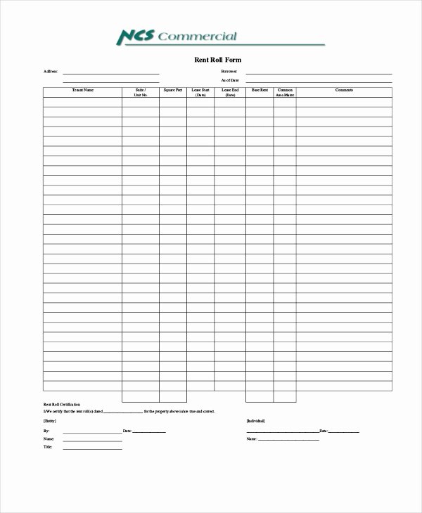 Apartment Rent Roll Template Unique Sample Rent Roll forms 10 Free Documents In Pdf Xls