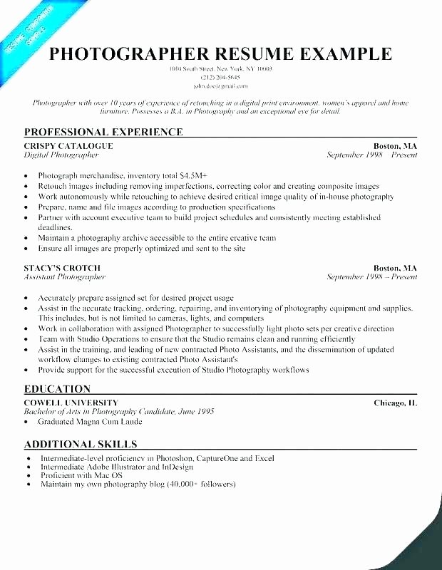 Artist Resume Template Word Awesome Artist Resume Template Word Matrimonial Resume Free