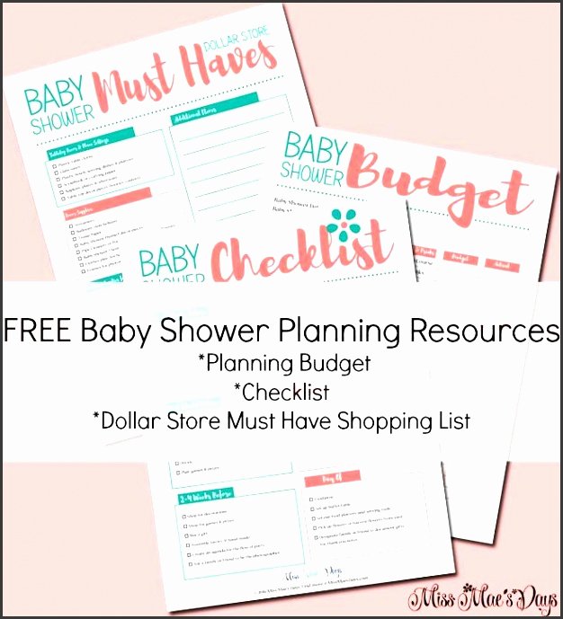 Baby Shower Planner Template Unique 9 Free Baby Shower Planner Template Sampletemplatess