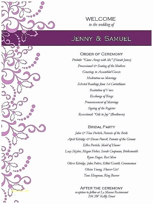 Baby Shower Programs Template Luxury Baby Shower Program Baby Shower Program Luxury Baby Shower