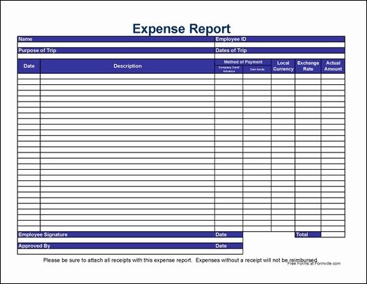 Basic Expense Report Template Best Of Free Simple International Travel Expense Report From formville
