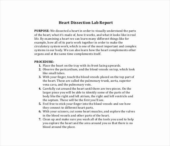 Biology Lab Report Template New 28 Lab Report Templates Pdf Google Docs Word Apple