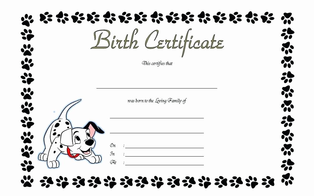 Birth Certificate Template Word Inspirational Trainer Certificate Free Dog Training Templates Word