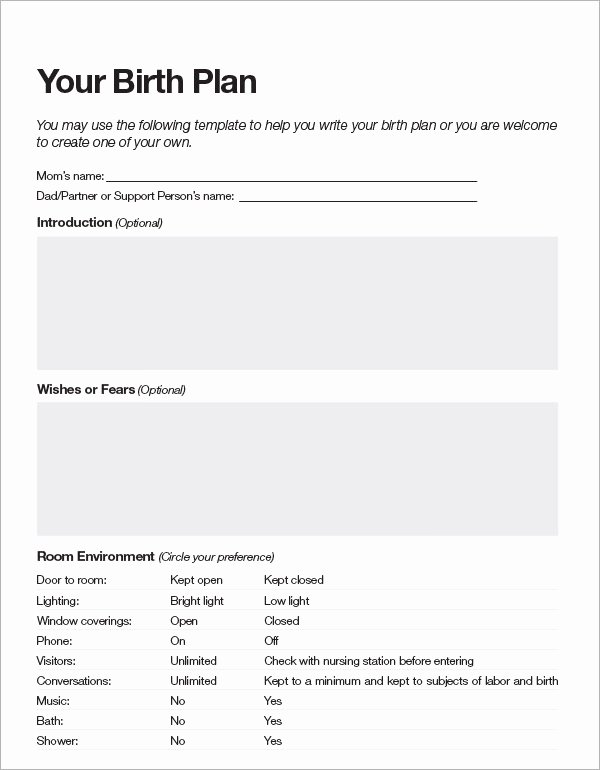 Birth Plan Template Word Best Of Birth Plan Template 20 Download Free Documents In Pdf Word
