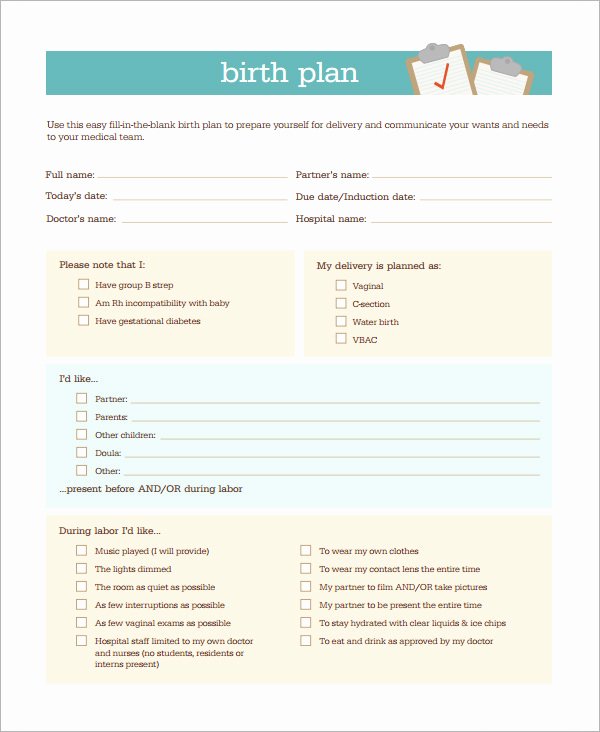 Birth Plan Template Word Best Of Birth Plan Template 20 Download Free Documents In Pdf Word