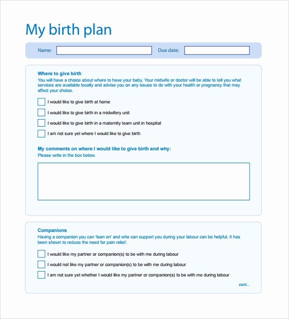 Birth Plan Template Word Elegant Birth Plan Template 20 Download Free Documents In Pdf Word