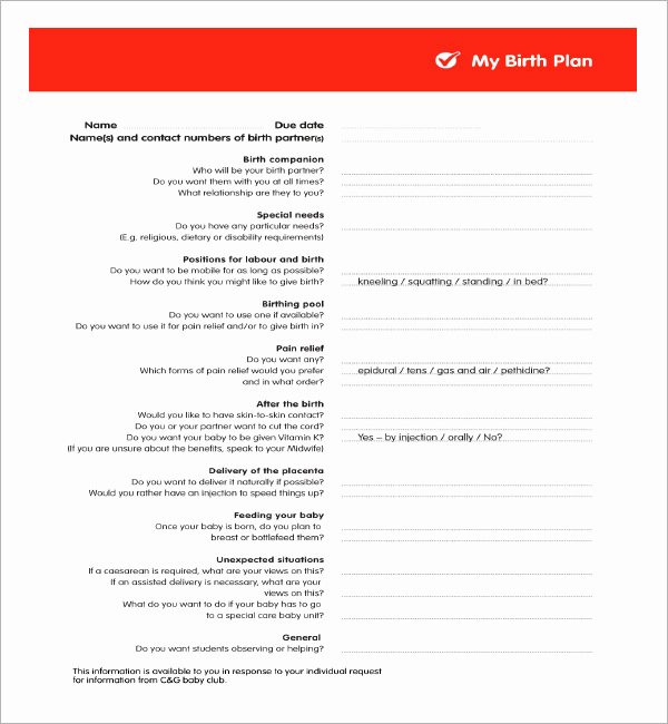 Birth Plan Template Word Elegant Birth Plan Template 20 Download Free Documents In Pdf Word