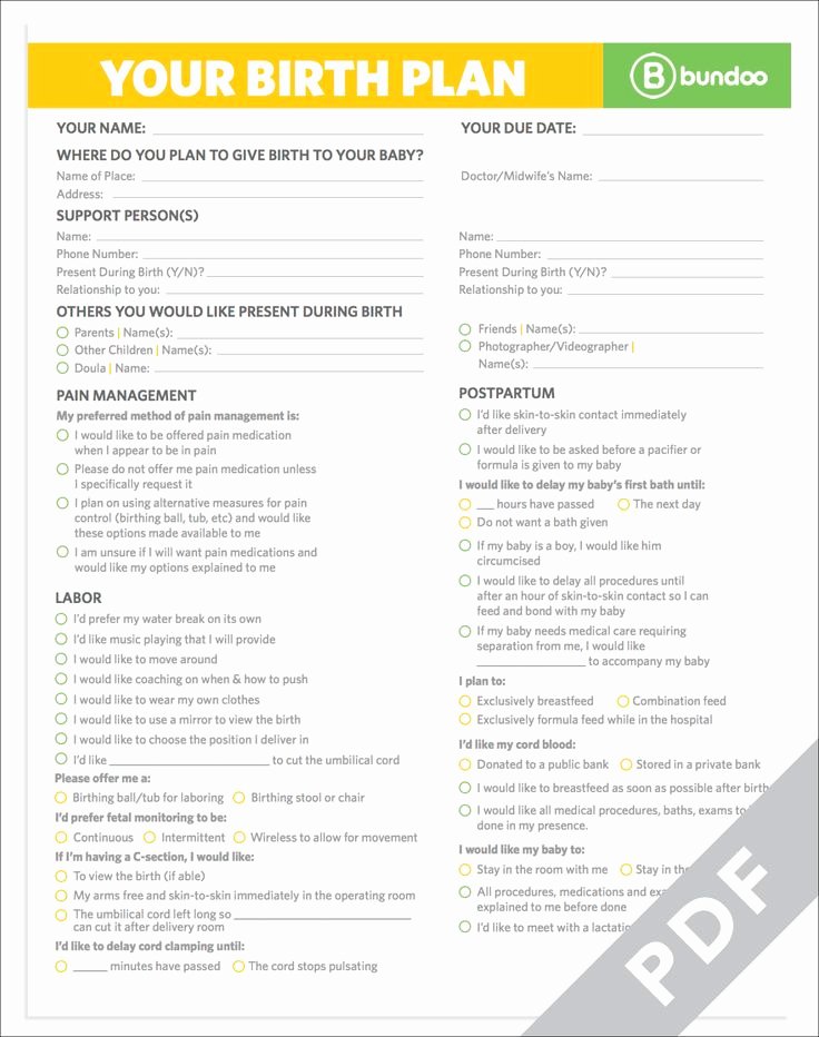 Birth Plan Template Word Elegant Here S A Printable Birth Plan that Your Doctor Will Be