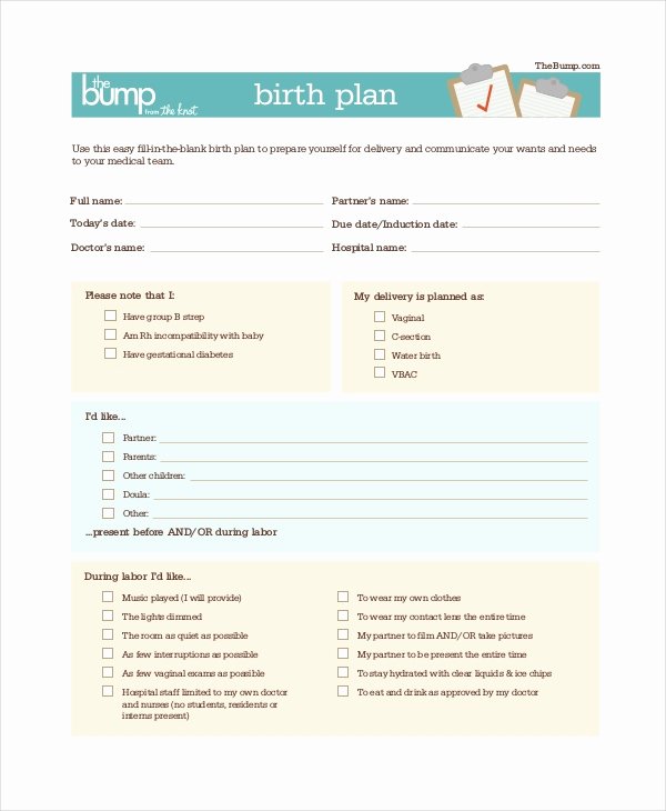 Birth Plan Template Word Luxury Birth Plan Template 9 Free Word Pdf Documents Download