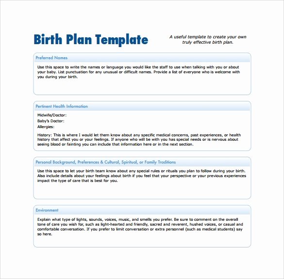 Birth Plan Template Word New 22 Sample Birth Plan Templates – Pdf Word Apple Pages