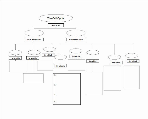 Blank Concept Map Template Lovely 42 Concept Map Templates Free Word Pdf Ppt Doc Examples