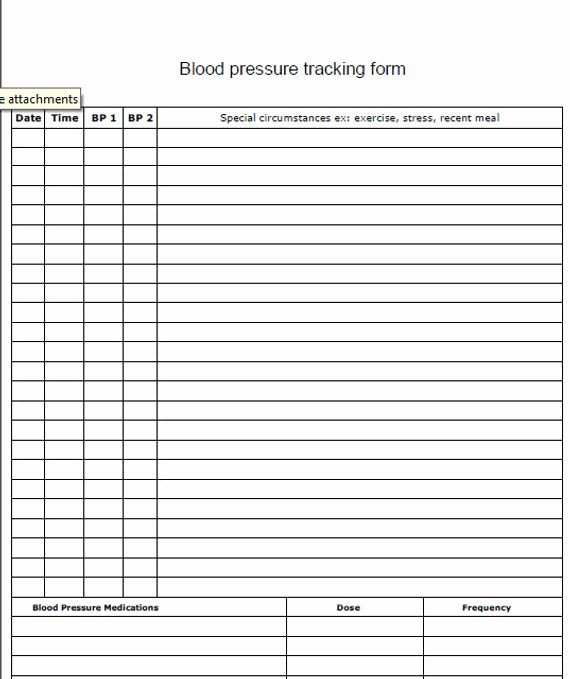 Blood Pressure Logs Template Luxury Fillable Blood Pressure Log Pdf
