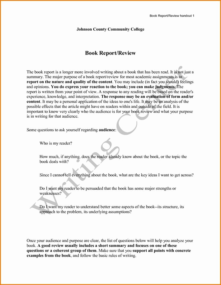 Book Review Template Pdf Best Of Best 10 Book Review Template Ideas On Pinterest