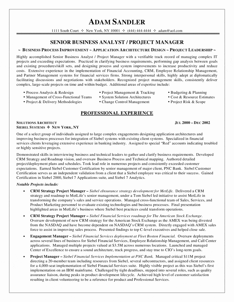 Business Analyst Resume Template Luxury Business Analyst Resume