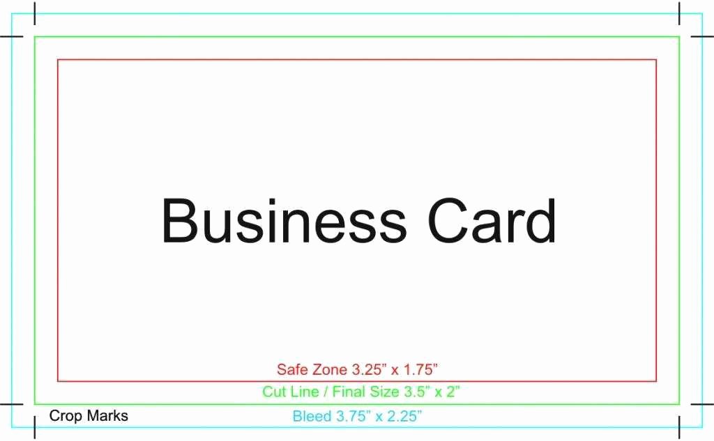 Business Card Illustrator Template Best Of How to Make A Business Card Illustrator Choice Image