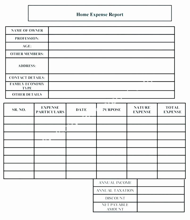 Business Check Template Excel Lovely Excel Checkbook Register Bud Worksheet Elegant