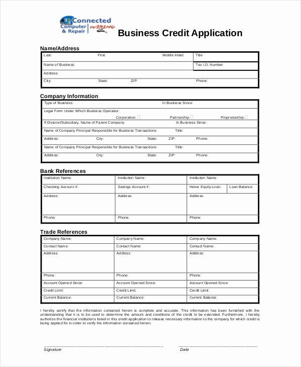 Business Credit Application Template Best Of 41 Application Templates In Pdf