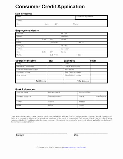 Business Credit Application Template Best Of Consumer Credit Application form