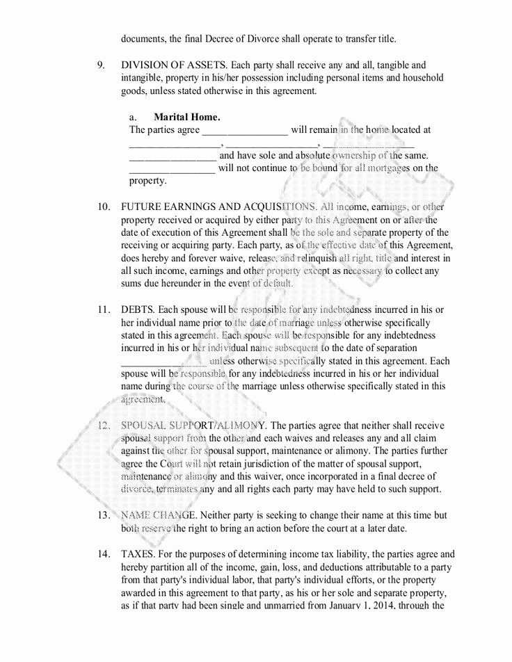 Business Separation Agreement Template Lovely 23 Of Business Separation Agreement Template Texas