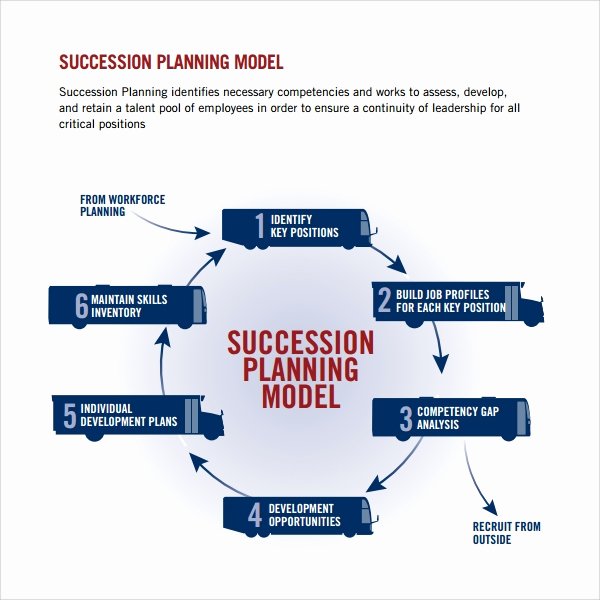 Business Succession Plan Template New 10 Succession Planning Templates