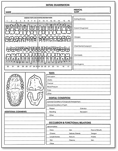 Canine Dental Chart Template Inspirational 28 Of Templates for Documenting Dental Charting