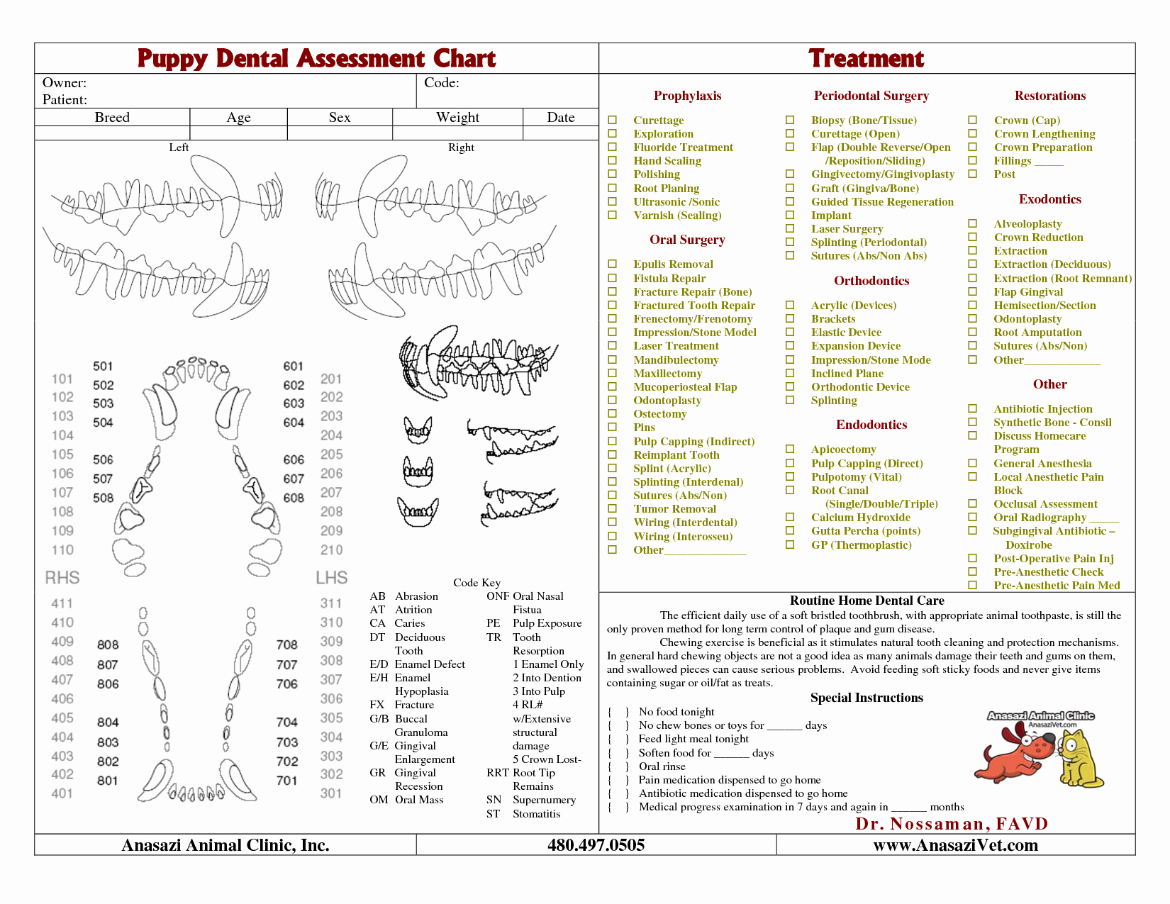 Canine Dental Chart Template Inspirational 9 Best Of Canine Deciduous Dental Chart Canine