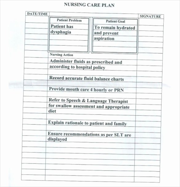 Care Plan Template Pdf Awesome Care Plan Template Elderly