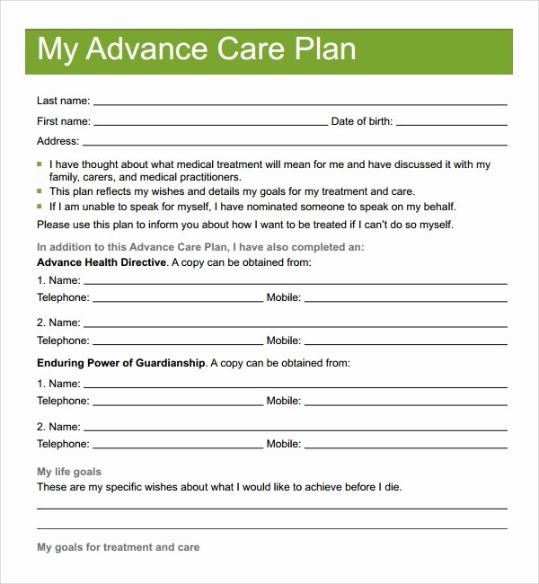 Care Plan Template Pdf Beautiful 12 Care Plan Templates