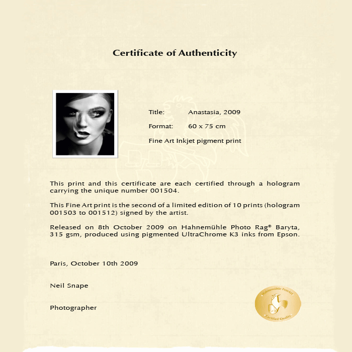 Certificate Of Authenticity Template Best Of Certificate Of Authenticity Template Certificate