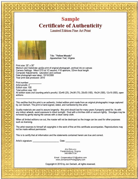 Certificate Of Authenticity Template Elegant 7 Free Sample Authenticity Certificate Templates