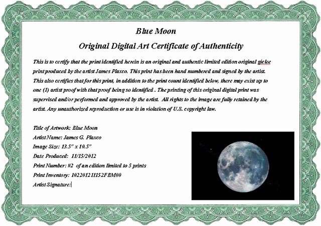 Certificate Of Authenticity Template Lovely Certificate Authenticity Wording