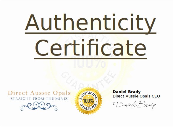 Certificate Of Authenticity Template Lovely Certificate Of Authenticity Template Certificate