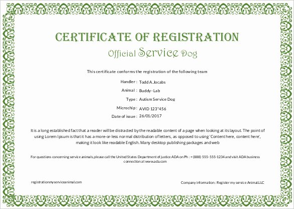 Certificate Of Service Template New Printable Certificate Template 46 Adobe Illustrator