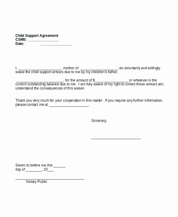 Child Visitation Agreement Template Elegant Child Custody Character Reference Letter Example