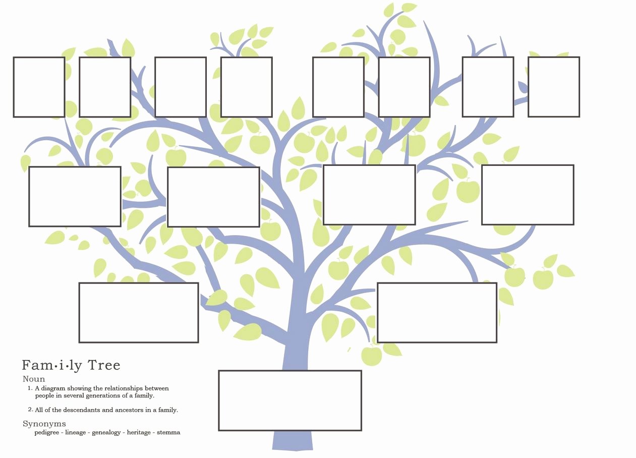 Children Family Tree Template Lovely Předškoláci Pracovn Listy
