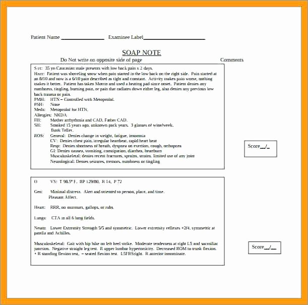Chiropractic soap Notes Template Elegant Blank soap Note Template Unique Medical Chart Notes