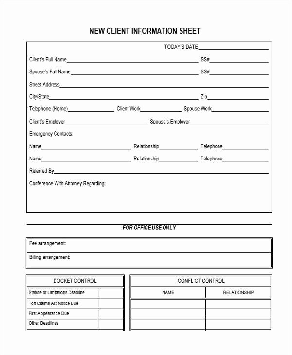 Client Information form Template Awesome 46 Information Sheet Samples