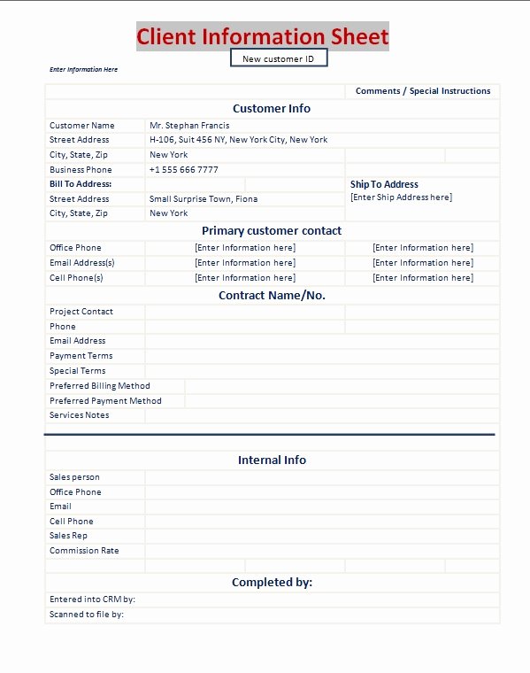 Client Information form Template Beautiful Client Information Sheet Template Excel Pdf formats