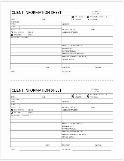 Client Information Sheet Template Awesome Business format Client Information Sheet